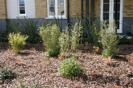 Landscaping Colchester